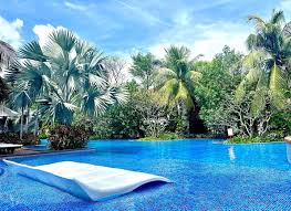 Homestay Phố Cổ Oasis - Gia đình Hạnh phúc Tuyệt Vời Tại Hội An